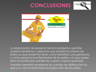 La elaboración de presente tema investigativo permite analizar beneficios y perjuicios que arrojará la crianza de pollos ya que podemos tener como beneficio una ganancia, y como perjuicio la enfermedad de los pollos y lo que quiere decir el sacrificarlos perdiendo nuestro capital aportado. También permitirá establecer los canales de distribución los que a su vez incrementará la producción de los pollos.  
