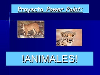 Proyecto Power Point:




 !ANIMALES!
 