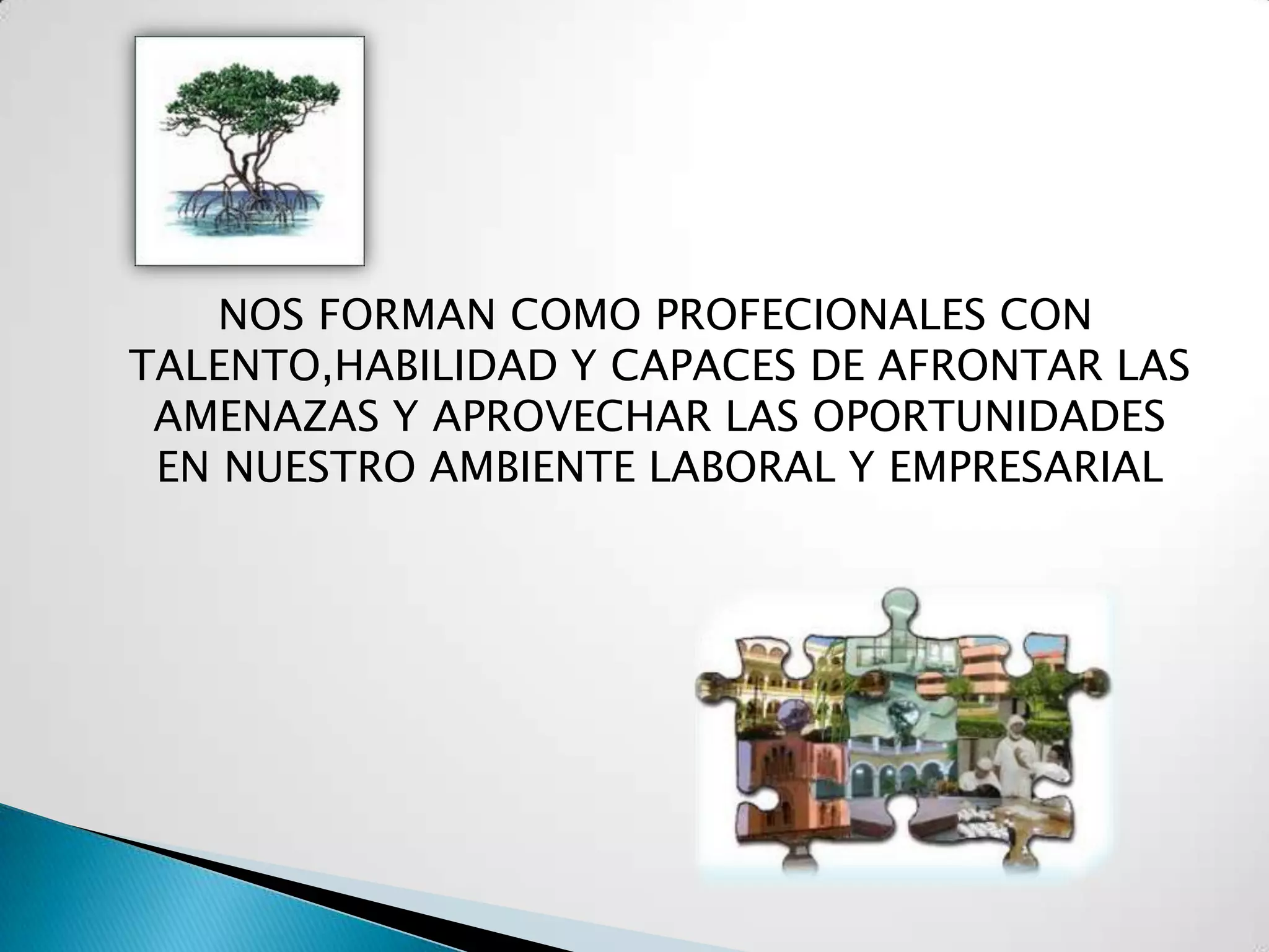 NOS FORMAN COMO PROFECIONALES CON
TALENTO,HABILIDAD Y CAPACES DE AFRONTAR LAS
 AMENAZAS Y APROVECHAR LAS OPORTUNIDADES
 EN NUESTRO AMBIENTE LABORAL Y EMPRESARIAL
 