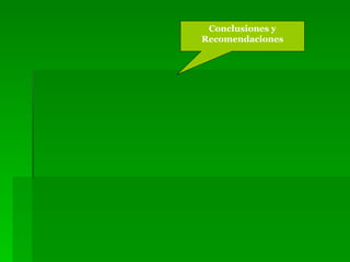 Conclusiones y Recomendaciones 