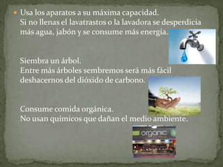  Usa los aparatos a su máxima capacidad.
 Si no llenas el lavatrastos o la lavadora se desperdicia
 más agua, jabón y se consume más energía.


 Siembra un árbol.
 Entre más árboles sembremos será más fácil
 deshacernos del dióxido de carbono.


 Consume comida orgánica.
 No usan químicos que dañan el medio ambiente.
 