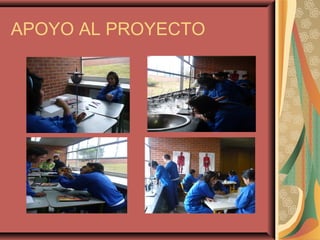 APOYO AL PROYECTO
 