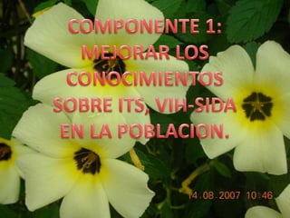 COMPONENTE 1:MEJORAR LOS CONOCIMIENTOS SOBRE ITS, VIH-SIDAEN LA POBLACION.