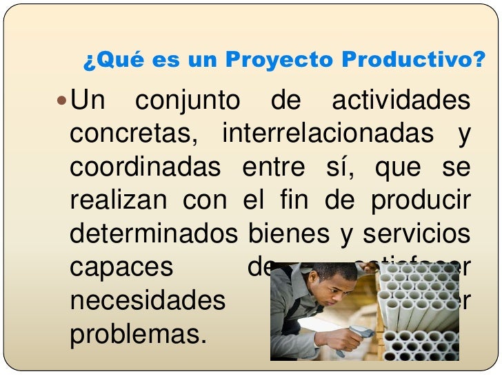 Proyecto Productivo