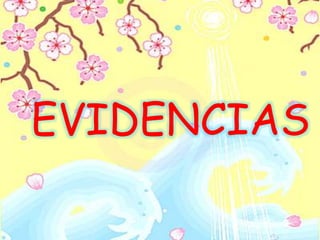 EVIDENCIAS
 