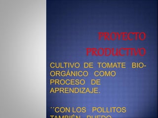 CULTIVO DE TOMATE BIO-
ORGÁNICO COMO
PROCESO DE
APRENDIZAJE.
´´CON LOS POLLITOS
 