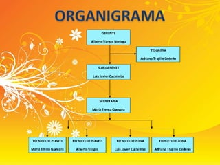 ORGANIGRAMA