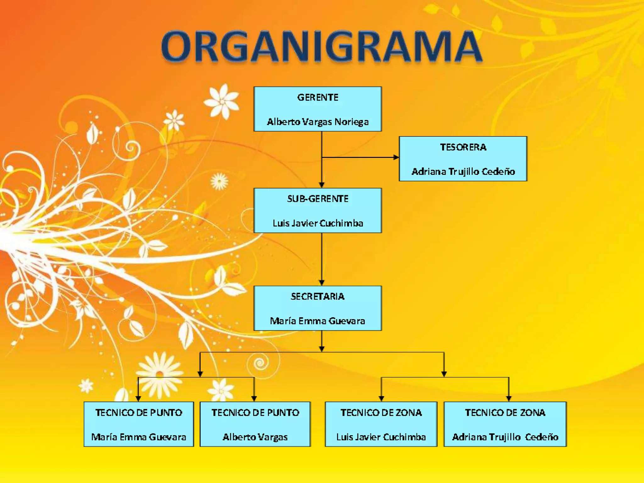 ORGANIGRAMA