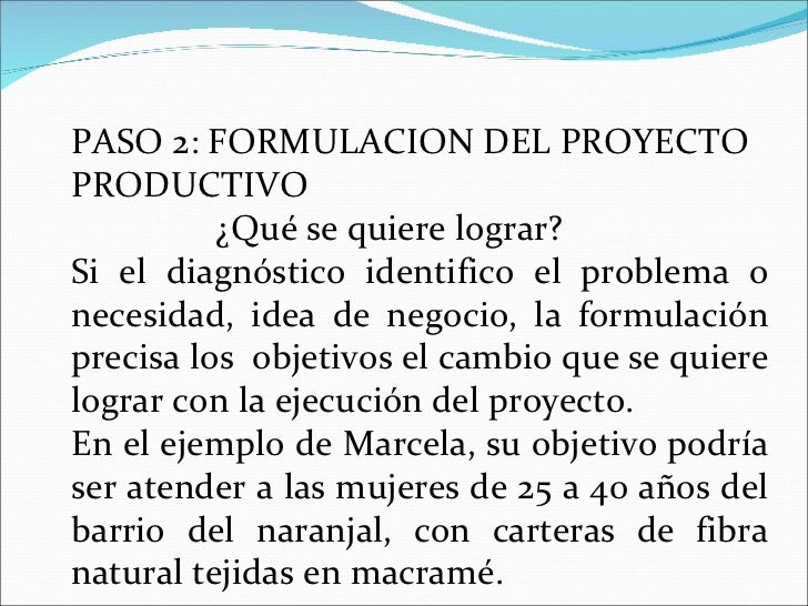 Proyecto productivo resumen