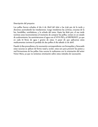 Descripción del proyecto: 
Los pollos fueron echados el día 11 de Abril del 2014 a las 5:30 pm de la tarde y 
duramos acomodando las instalaciones. Luego instalamos las cortinas, crucetas de la 
luz, bombillos, ventiladores, y la echada del tamo. Hasta las 8:00 pm, el esa tarde 
tuvimos unos inconvenientes al momento de comprar los pollos, venían en un estado 
de acaloramiento, les suministramos el agua con el VITA PIO y el ERITROVET, ya que 
en cada 10 litros de agua 1 gramo de estas. A pesar de que aplicamos estos 
medicamentes tuvimos la perdida de dos pollos el día sábado 12 de abril. 
Pasado 9 días procedimos a la vacunación correspondiente con bronquilan y Newcastle 
estas vacunas se aplican de forma nasal y ocular, estas son para prevenir las pestes y 
mal formaciones de los pollos. Esta vacuna la realizamos con la orientación del señor 
Víctor Mora, ya que no teníamos orientación sobre estos métodos de vacunación. 
