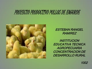 PROYECTO PRODUCTIVO POLLOS DE ENGORDE
ESTEBAN RANGEL
RAMIREZ
INSTITUCION
EDUCATIVA TECNICA
AGROPECUARIA
CONCENTRACION DE
DESARROLLO RURAL
1002
 