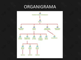 ORGANIGRAMA
 