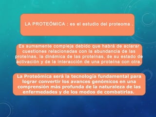 LA PROTEÓMICA : es el estudio del proteoma .
Es sumamente compleja debido que habrá de aclarar
cuestiones relacionadas con la abundancia de las
proteínas, la dinámica de las proteínas, de su estado de
activación y de la interacción de una proteína con otra.
La Proteómica será la tecnología fundamental para
lograr convertir los avances genómicos en una
comprensión más profunda de la naturaleza de las
enfermedades y de los modos de combatirlas.
 