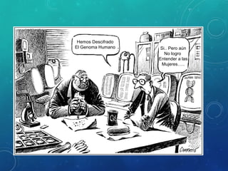 Hemos Descifrado
El Genoma Humano Si.. Pero aún
No logro
Entender a las
Mujeres…..
 