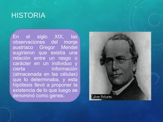 HISTORIA
En el siglo XIX, las
observaciones del monje
austriaco Gregor Mendel
sugirieron que existía una
relación entre un rasgo o
carácter en un individuo y
cierta información
(almacenada en las células)
que lo determinaba, y esta
hipótesis llevó a proponer la
existencia de lo que luego se
denominó como genes.
 