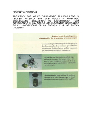 Proyecto: protistas

Recuerden que no es obligatorio realizar esto. Si
deciden    hacerlo,  hay  que  ubicar a  Francisco
Guglielmone     –encargado  de  laboratorio-  para
consultarle si hay todos los elementos necesarios
en el laboratorio de la escuela y si se pueden
utilizar.-
 