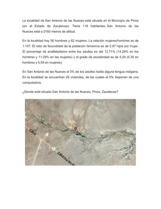 La localidad de San Antonio de las Nueces está situada en el Municipio de Pinos
(en el Estado de Zacatecas). Tiene 118 habitantes. San Antonio de las
Nueces está a 2160 metros de altitud.
En la localidad hay 56 hombres y 62 mujeres. La relación mujeres/hombres es de
1.107. El ratio de fecundidad de la población femenina es de 2.97 hijos por mujer.
El porcentaje de analfabetismo entre los adultos es del 12.71% (14.29% en los
hombres y 11.29% en las mujeres) y el grado de escolaridad es de 5.20 (5.30 en
hombres y 5.09 en mujeres).
En San Antonio de las Nueces el 0% de los adultos habla alguna lengua indígena.
En la localidad se encuentran 26 viviendas, de las cuales el 0% disponen de una
computadora.
¿Dónde está situado San Antonio de las Nueces, Pinos, Zacatecas?
 