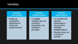 Variables
Variables
controladas
• Estas se
mantienen
idénticas en
todos los
experimentos
Variable
independiente
• La única
variable que se
cambia a
propósito y se
somete a
pruebas
Variable
dependiente
• La medida del
cambio
observado a
causa de la
variable
independiente
• Decida cómo va
a medir el
cambio
 