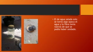 • El de agua salada solo
se torno algo opaca el
agua y la fibra tenia
rastros de que se
podía haber oxidado.
 
