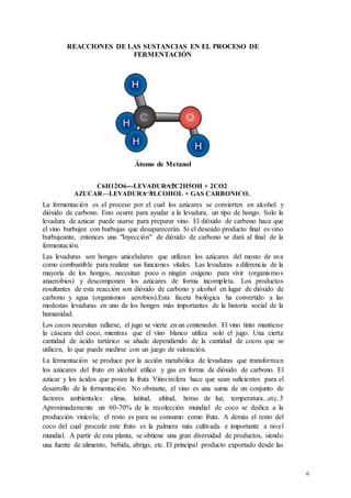 6
REACCIONES DE LAS SUSTANCIAS EN EL PROCESO DE
FERMENTACIÓN
Átomo de Metanol
C6H12O6---LEVADURA2C2H5OH + 2CO2
AZUCAR—LEVADURA ALCOHOL + GAS CARBONICO.
La fermentación es el proceso por el cual los azúcares se convierten en alcohol y
dióxido de carbono. Esto ocurre para ayudar a la levadura, un tipo de hongo. Solo la
levadura de azúcar puede usarse para preparar vino. El dióxido de carbono hace que
el vino burbujee con burbujas que desaparecerán. Si el deseado producto final es vino
burbujeante, entonces una "Inyección" de dióxido de carbono se dará al final de la
fermentación.
Las levaduras son hongos unicelulares que utilizan los azúcares del mosto de uva
como combustible para realizar sus funciones vitales. Las levaduras a diferencia de la
mayoría de los hongos, necesitan poco o ningún oxígeno para vivir (organismos
anaerobios) y descomponen los azúcares de forma incompleta. Los productos
resultantes de esta reacción son dióxido de carbono y alcohol en lugar de dióxido de
carbono y agua (organismos aerobios).Esta faceta biológica ha convertido a las
modestas levaduras en uno de los hongos más importantes de la historia social de la
humanidad.
Los cocos necesitan rallarse; el jugo se vierte en un contenedor. El vino tinto mantiene
la cáscara del coco, mientras que el vino blanco utiliza solo el jugo. Una cierta
cantidad de ácido tartárico se añade dependiendo de la cantidad de cocos que se
utilicen, lo que puede medirse con un juego de valoración.
La fermentación se produce por la acción metabólica de levaduras que transforman
los azúcares del fruto en alcohol etílico y gas en forma de dióxido de carbono. El
azúcar y los ácidos que posee la fruta Vitisvinifera hace que sean suficientes para el
desarrollo de la fermentación. No obstante, el vino es una suma de un conjunto de
factores ambientales: clima, latitud, altitud, horas de luz, temperatura...etc.3
Aproximadamente un 60-70% de la recolección mundial de coco se dedica a la
producción vinícola; el resto es para su consumo como fruta. A demás el resto del
coco del cual procede este fruto es la palmera más cultivada e importante a nivel
mundial. A partir de esta planta, se obtiene una gran diversidad de productos, siendo
una fuente de alimento, bebida, abrigo, etc. El principal producto exportado desde las
 