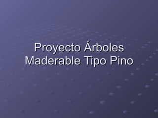 Proyecto Árboles Maderable Tipo Pino 