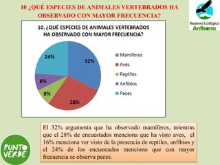 10 ¿QUÉ ESPECIES DE ANIMALES VERTEBRADOS HA
OBSERVADO CON MAYOR FRECUENCIA?
El 32% argumenta que ha observado mamíferos, mientras
que el 28% de encuestados menciona que ha visto aves, el
16% menciona ver visto de la presencia de reptiles, anfibios y
el 24% de los encuestados menciono que con mayor
frecuencia se observa peces.
 
