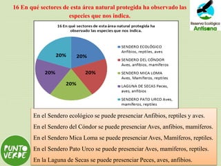 16 En qué sectores de esta área natural protegida ha observado las
especies que nos indica.
En el Sendero ecológico se puede presenciar Anfibios, reptiles y aves.
En el Sendero del Cóndor se puede presenciar Aves, anfibios, mamíferos.
En el Sendero Mica Loma se puede presenciar Aves, Mamíferos, reptiles.
En el Sendero Pato Urco se puede presenciar Aves, mamíferos, reptiles.
En la Laguna de Secas se puede presenciar Peces, aves, anfibios.
 