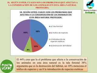 18. SEGÚN USTED, CUALES SON LOS PROBLEMAS QUE AFECTAN A
LA CONSERVACIÓN DE LOS ANIMALES EN ESTA ÁREA NATURAL
PROTEGIDA.
El 44% cree que la el problema que afecta a la conservación de
los animales en esta área natural es la tala forestal 38%
argumenta que es la destrucción del hábitat, un 10% menciona el
tráfico de especies y un 8 la introducción de especies exóticas
 