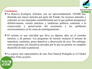 Conclusiones
 La Reserva Ecológica Antisana, con sus aproximadamente 120.000 has,
demanda una mayor atención por parte del Estado, los recursos naturales y
culturales no son manejados sosteniblemente por lo que podrían desaparecer
definitivamente, existen prácticas y tendencias políticas contrarias a la
conservación y preservación del ecosistema y los problemas
socioeconómicos en las zonas de amortiguamiento.
 El turismo es una actividad que lleva ya algunos años en el corredor
turístico, y de páramo. Los programas de turismo incluyen el turismo de
naturaleza, caminatas, pesca deportiva y observación de aves. Sin embargo,
estos programas son iniciativas privadas por lo que no permite un completo
desarrollo de todo su potencial.
 La especie más representativa de esta Área Natural Protegida es el Cóndor
Andino Vultur gryphus
 