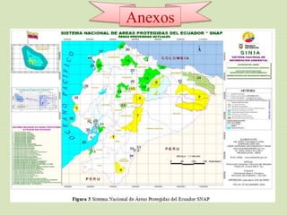 Anexos
 