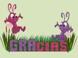 Reserva Ecológica Antisana Mayra Chadán