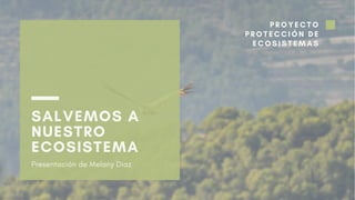 PROYECTO
PROTECCIÓN DE
ECOSISTEMAS
SALVEMOS A
NUESTRO
ECOSISTEMA
Presentación de Melany Diaz
 