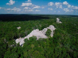 DEFORESTACIÓN Y CACERÍA EN HOPELCHÉN
Hopelchén hasta hace 20 años era considerado uno de los pulmones del
estado de Campeche y de la propia Península de Yucatán, ahora esa
consideración se va esfumando, puesto que en el municipio se han
desmontado miles de hectáreas de selvas vírgenes y se ha acabado
paulatinamente con la flora y con la fauna, sin que las autoridades
frenen esa afectación ambiental.
No es posible que los montes que por años han cuidado nuestros
abuelos y nuestros padres, y que son el patrimonio de nuestros hijos,
ahora son acabados por gente que ni siquiera son campechanos y
mucho menos cheneros, en el municipio los menonitas son los
depredadores del medio ambiente, y más que eso son los únicos que
obtienen permisos para desforestar los montes altos y vírgenes, gracias
a que han obtenido permisos de las dependencias federales que
deberían preservar el entorno ambiental; aunque se niegue que no se
les da permisos para producir carbón.
 