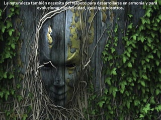 La naturaleza también necesita del respeto para desarrollarse en armonía y para
evolucionar con felicidad, igual que nosotros.
 