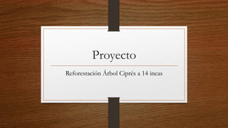Proyecto
Reforestación Árbol Ciprés a 14 incas
 