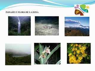 PAISAJES Y FLORA DE LA ZONA
 