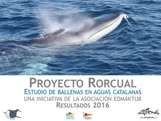 PROYECTO RORCUAL
ESTUDIO DE BALLENAS EN AGUAS CATALANAS
UNA INICIATIVA DE LA ASOCIACIÓN EDMAKTUB
RESULTADOS 2016
 