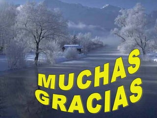 MUCHAS GRACIAS 