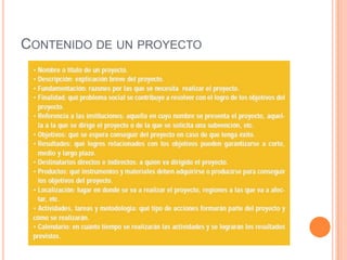 CONTENIDO DE UN PROYECTO
 