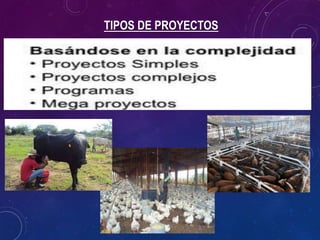 TIPOS DE PROYECTOS
 