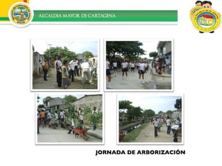 JORNADA DE ARBORIZACIÓN 