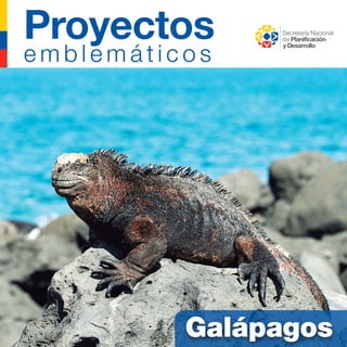 Proyectos 
e m b l e m á t i c o s 
Galápagos 
 
