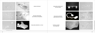 LÁMINA PERFORADA           PABRLLONRD CONESCTADOS
                                                             POR UNA LÁMINA




                            MÚLTIPLES PABELLONES
                                                           PABELLONES SEPARADOS
                          QUE FORMAN UN RECORRIDO
                                                          CONECTADOS POR UN HILO



                                                                                        e
                                                                                        0
                                                                                        3

                                                                                        B
                        PABELLONES ADOSADOS A LA TAPIA   ENTRADA: ESCISIÓN              O
                                                          DE UN PABELLÓN                N
                                                                                        I
                                                                                        T
                                                                                        O


     GOTAS EN EL AGUA

43                                                                                 44
 