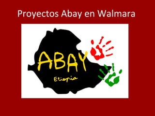 Proyectos Abay en Walmara
 