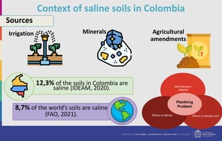 8,7% of the world’s soils are saline
(FAO, 2021).
Context of saline soils in Colombia
Sources
Irrigation Minerals Agricultural
amendments
12,3% of the soils in Colombia are
saline (IDEAM, 2020). Salt tolerance /
adaption
Effects of salicylic acid
Effects of Salinity
Planthing
Problem
 