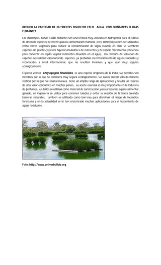 REDUCIR LA CANTIDAD DE NUTRIENTES DISUELTOS EN EL AGUA CON CHINAMPAS Ó ISLAS
FLOTANTES
Las chinampas, balsas ó islas flotantes son una técnica muy utilizada en hidroponía para el cultivo
de distintas especies de interés para la alimentación humana, pero también pueden ser utilizadas
como filtros vegetales para reducir la contaminación de lagos cuando en ellas se siembran
especies de plantas y pastos hiperacumuladores de nutrientes y de rápido crecimiento (eficiencia
para convertir en tejido vegetal nutrientes disueltos en el agua), los criterios de selección de
especies se realizan seleccionando especies ya probadas en el tratamiento de aguas residuales y
reconocidas a nivel internacional, que no resulten invasivas y que sean muy seguras
ecológicamente.
El pasto Vetiver Chrysopogon Zizanioides es una especie originaria de la India, sus semillas son
infértiles por lo que se considera muy segura ecológicamente, sus raíces crecen solo de manera
vertical por lo que no resulta invasiva, tiene un amplio rango de aplicaciones y resulta un recurso
de alto valor económico en muchos países, su aceite esencial es muy importante en la industria
de perfumes, sus tallos se utilizan como material de construcción, para artesanías ó para alimentar
ganado, en ingeniería se utiliza para contener taludes y evitar la erosión de la tierra creando
barreras naturales, también es utilizado como barreras para disminuir el riesgo de incendios
forestales y en la actualidad se le han encontrado muchas aplicaciones para el tratamiento de
aguas residuales.
Foto: http://www.vetiverbolivia.org
 
