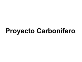 Proyecto Carbonífero  