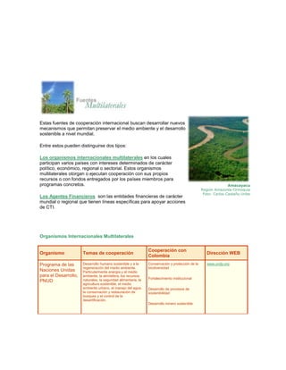Estas fuentes de cooperación internacional buscan desarrollar nuevos mecanismos que permitan preservar el medio ambiente y el desarrollo sostenible a nivel mundial. Entre estos pueden distinguirse dos tipos: 
Los organismos internacionales multilaterales en los cuales participan varios países con intereses determinados de carácter político, económico, regional o sectorial. Estos organismos multilaterales otorgan o ejecutan cooperación con sus propios recursos o con fondos entregados por los países miembros para programas concretos. 
Los Agentes Financieros son las entidades financieras de carácter mundial o regional que tienen líneas específicas para apoyar acciones de CTI. Amacayacu Region Amazonía-Orinoquía Foto: Carlos Castaño Uribe 
Organismos Internacionales Multilaterales Organismo Temas de cooperación Cooperación con Colombia Dirección WEB Programa de las Naciones Unidas para el Desarrollo, PNUD Desarrollo humano sostenible y a la regeneración del medio ambiente. Particularmente energía y el medio ambiente, la atmósfera, los recursos naturales, la seguridad alimentaria, la agricultura sostenible, el medio ambiente urbano, el manejo del agua, la conservación y restauración de bosques y el control de la desertificación. Conservación y protección de la biodiversidad Fortalecimiento institucional Desarrollo de procesos de sostenibilidad Desarrollo minero sostenible www.undp.org  