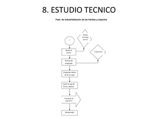 8. ESTUDIO TECNICO
Fase de industrialización de las hierbas y especies
1
Molido de
hierbas
Hierbas
trituradas
para Te
Proceso de
empacado
Empacado sobres
de Te en cajas
Almacenado
Programación
Empacadora
Transporte de
cajas de Te
Cubrir la caja de
Té con plástico
 