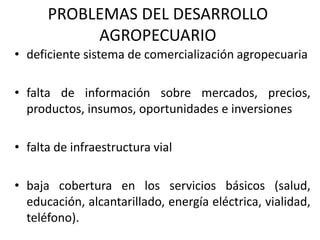 PROBLEMAS DEL DESARROLLO
AGROPECUARIO
• deficiente sistema de comercialización agropecuaria
• falta de información sobre mercados, precios,
productos, insumos, oportunidades e inversiones
• falta de infraestructura vial
• baja cobertura en los servicios básicos (salud,
educación, alcantarillado, energía eléctrica, vialidad,
teléfono).
 